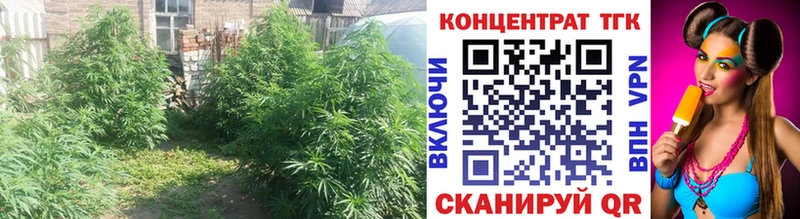 Дистиллят ТГК вейп с тгк  Макаров 